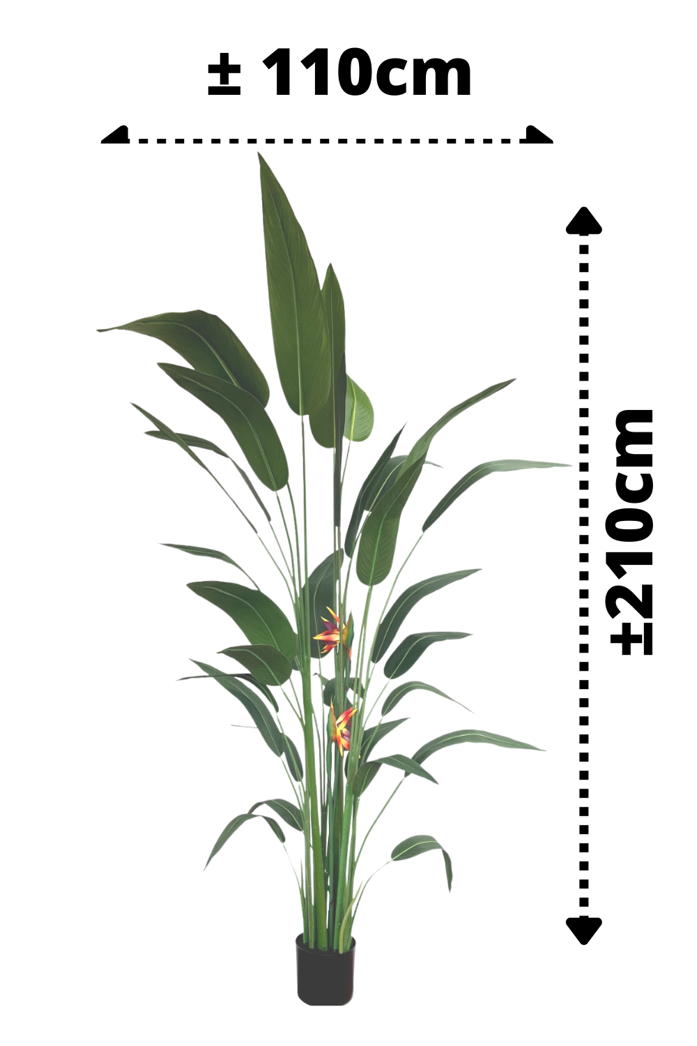 afmetingen Strelitzia Kunstplant Met Bloem 210cm