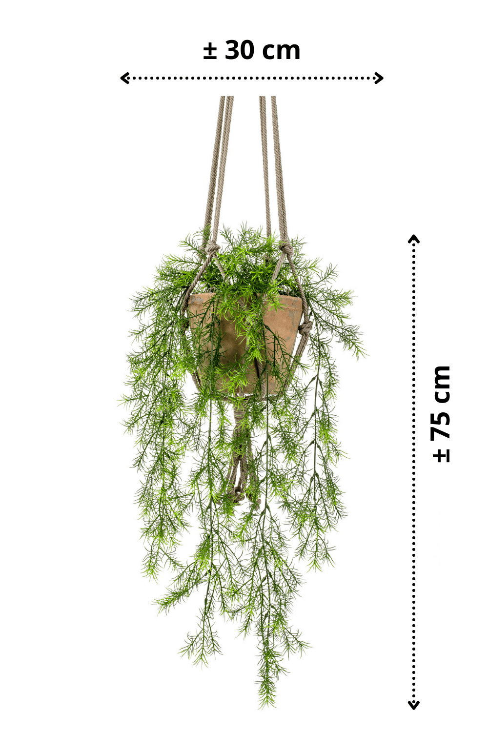 afmetingen Asparagus Sprengeri kunst hangplant 75cm