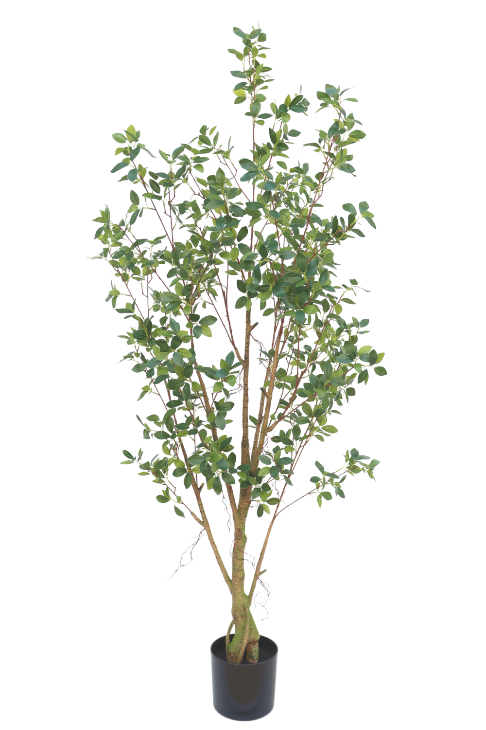 Ficus kunstplant 180cm