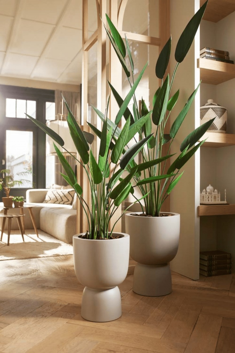 sfeerbeeld Heliconia Kunstplant 175cm