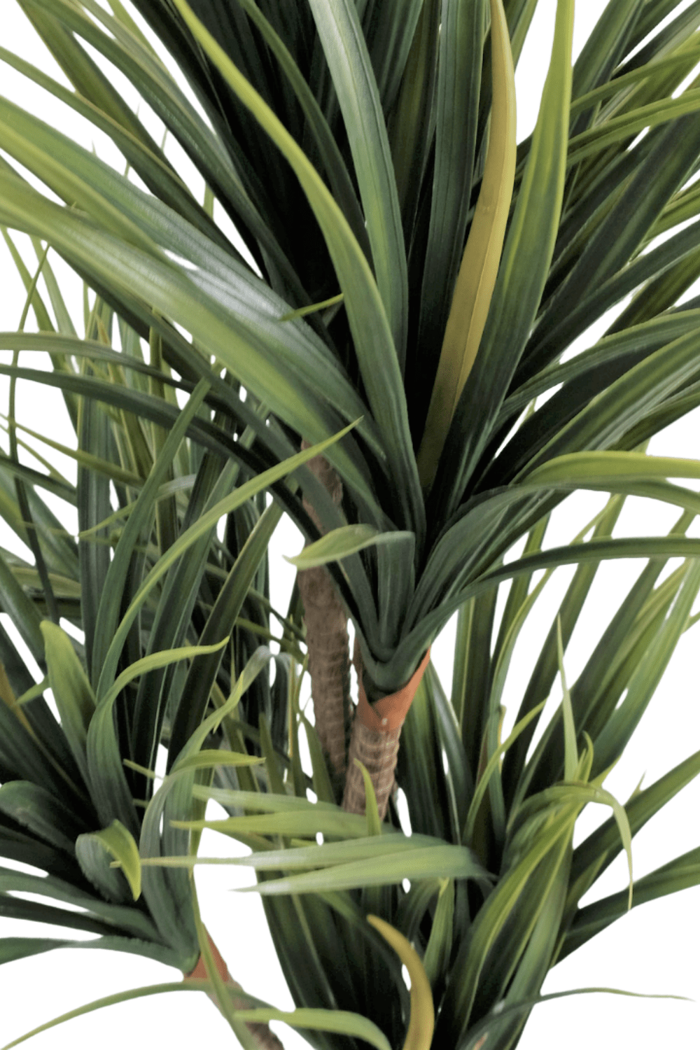 bladeren Dracaena Kunstplant 130cm