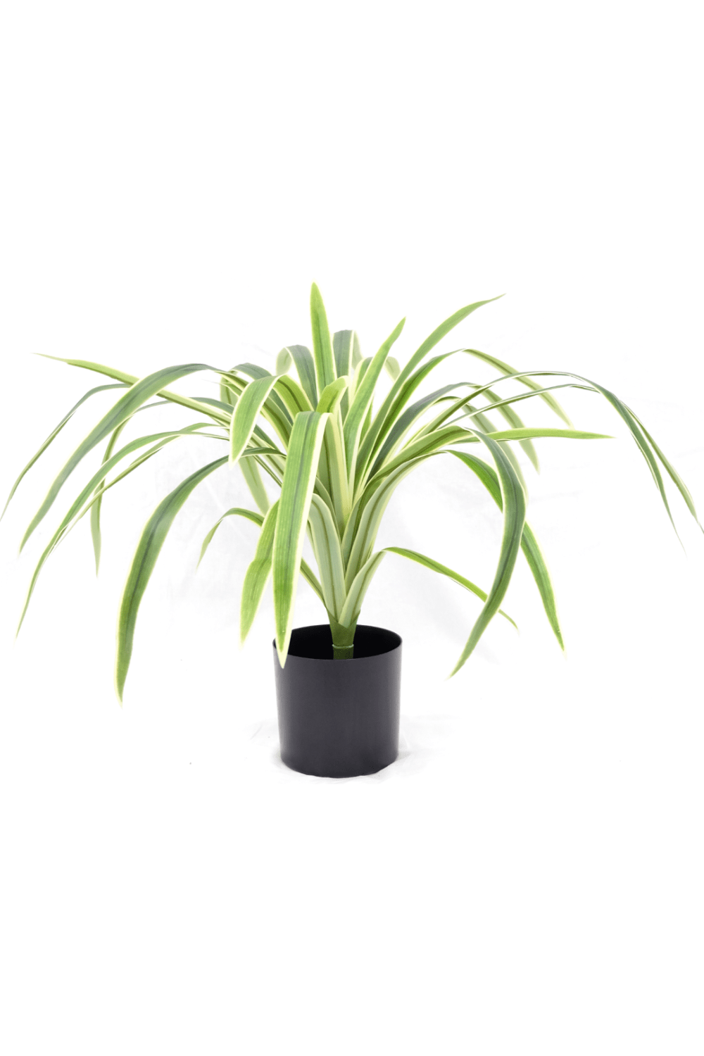 Dracaena Kunstplant 60cm