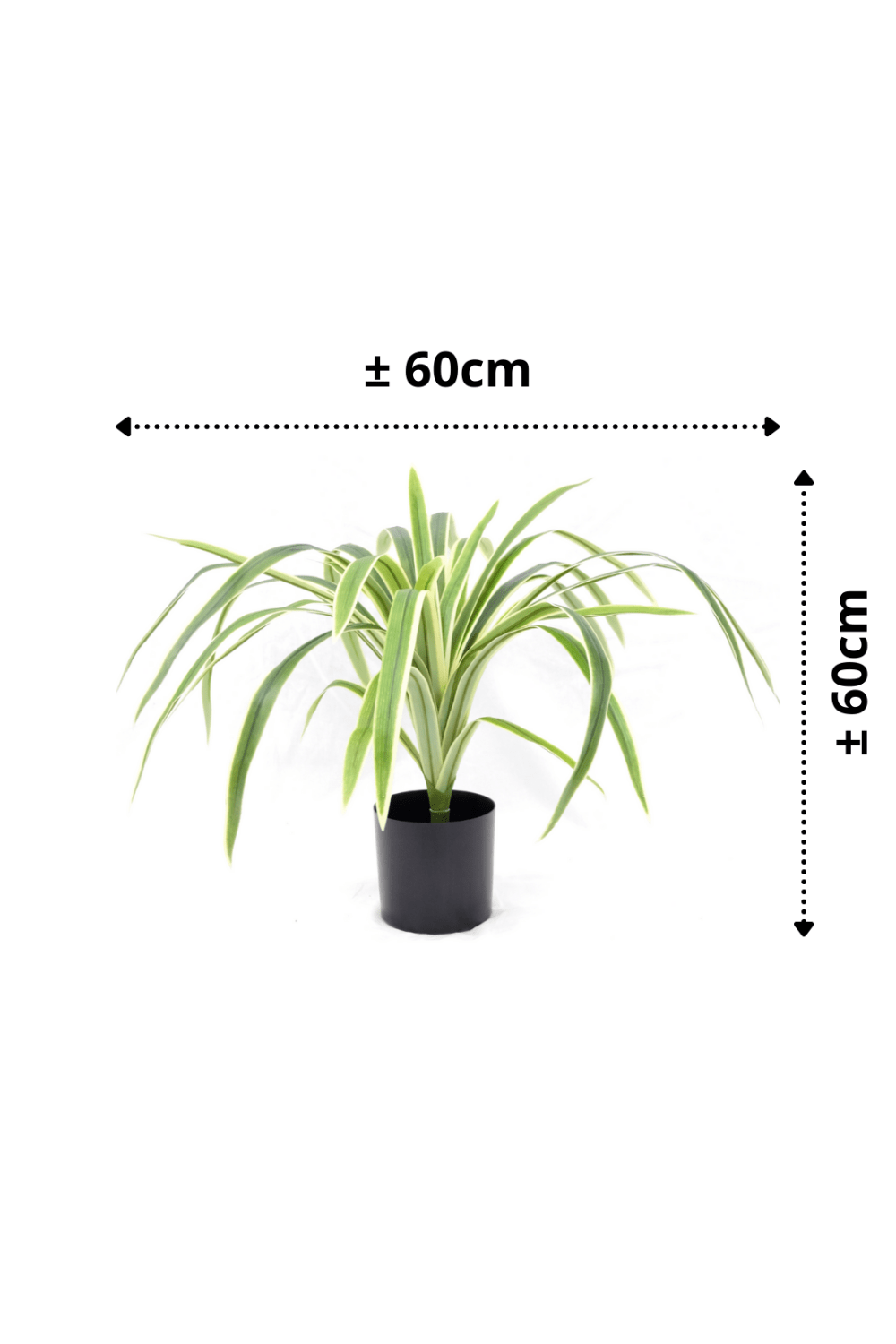 afmetingen Dracaena Kunstplant 60cm