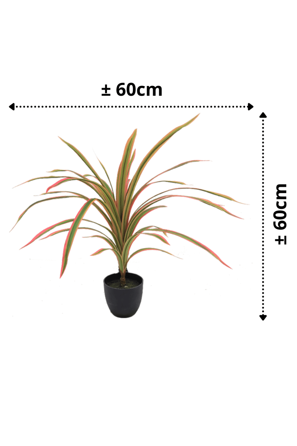 afmetingen Dracaena Kunstplant oranje 60cm