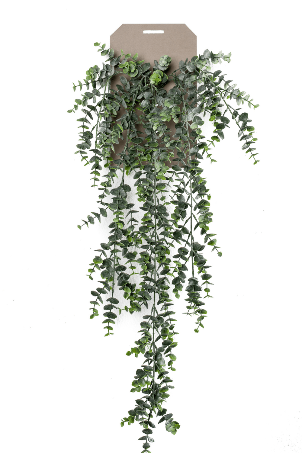 Eucalyptus Kunst Hangplant 75cm 