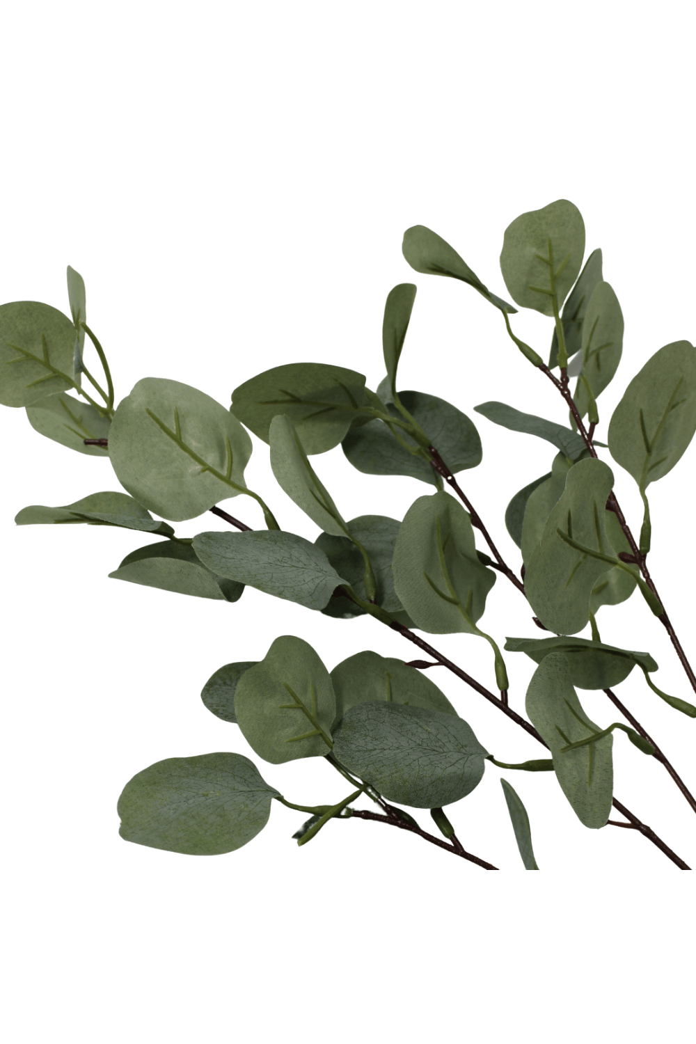 details bladeren Eucalyptus kunsttak 65cm