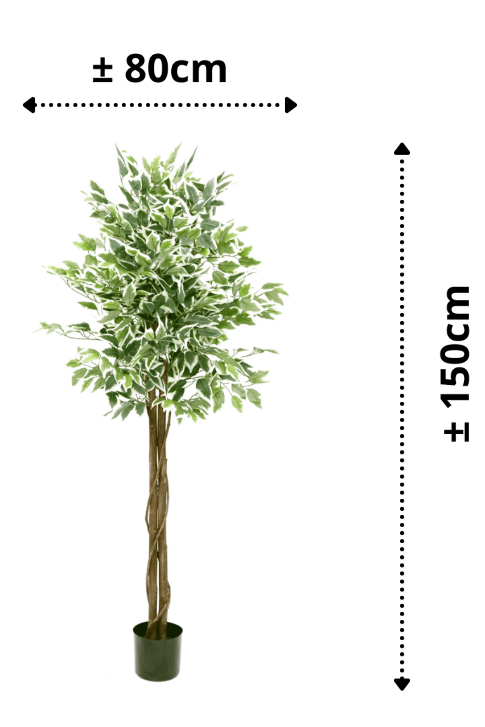 afmetingen Ficus kunstboom 150cm