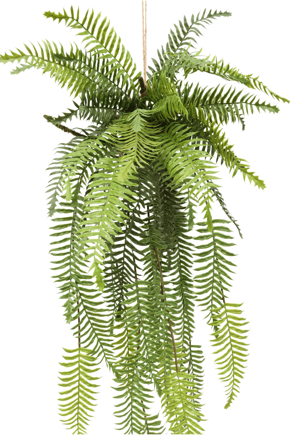 Kunstplant Varen hanger groen H 100 cm kopen Kunstplant Varen hanger groen H 100 cm kopen