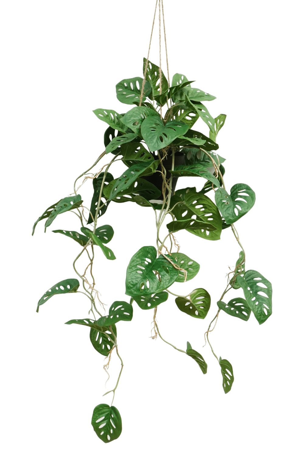 Monstera Monkey Bush Kunst Hangplant 95cm