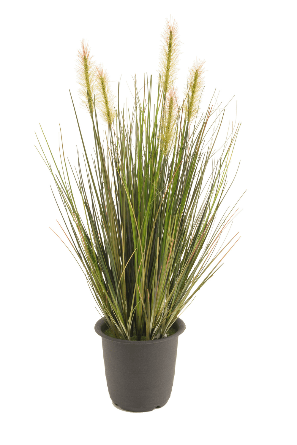 Kunst Grasplant 45cm