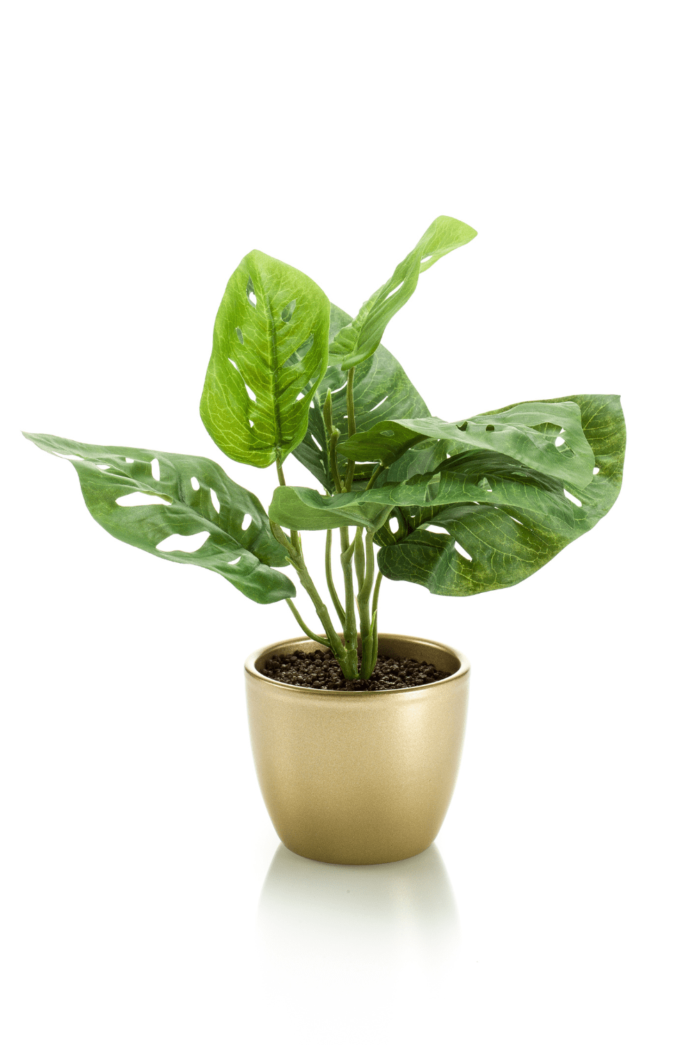 Kunst Monstera Monkey Bush 30cm