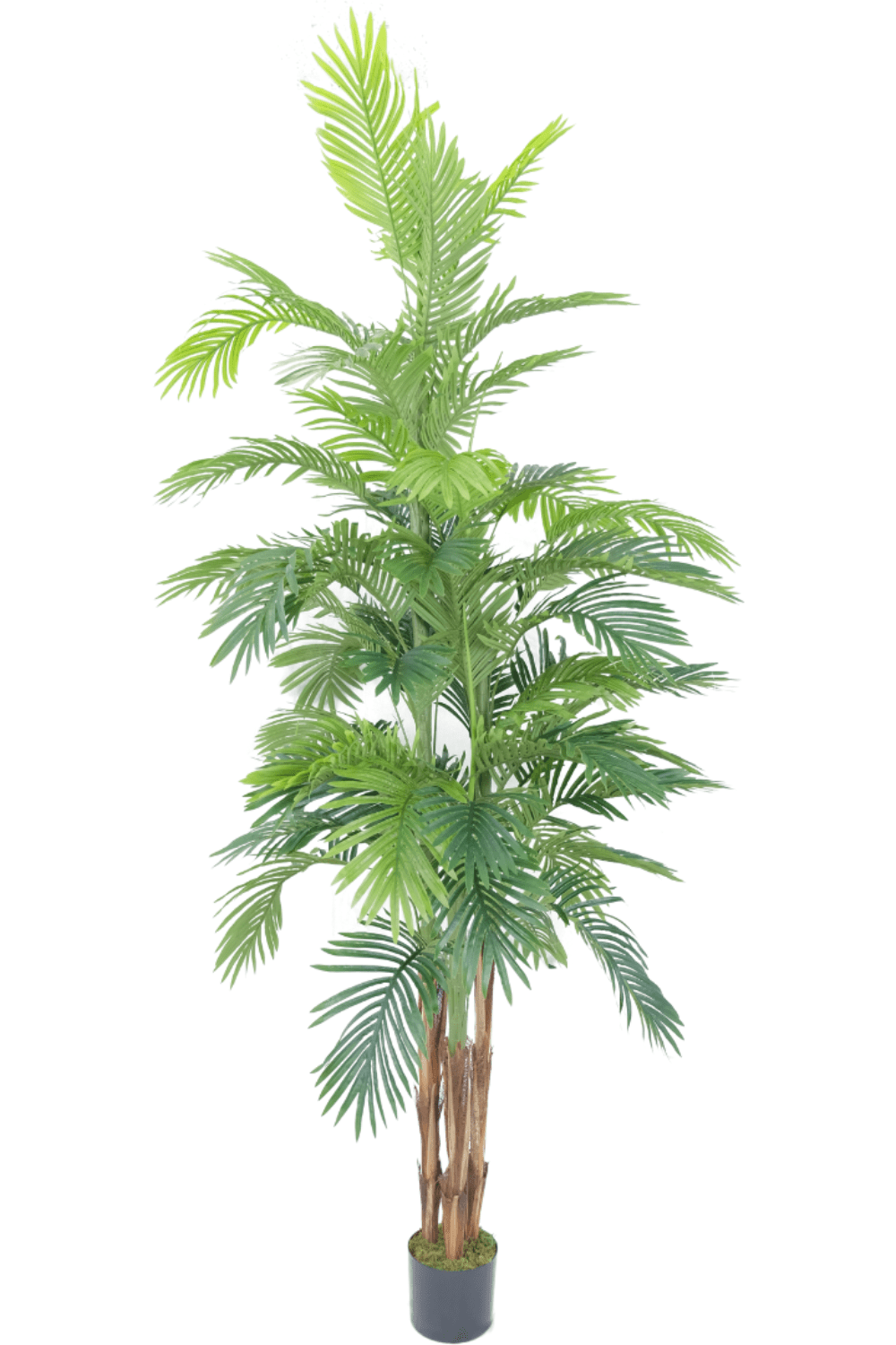 Kunstpalm 230cm