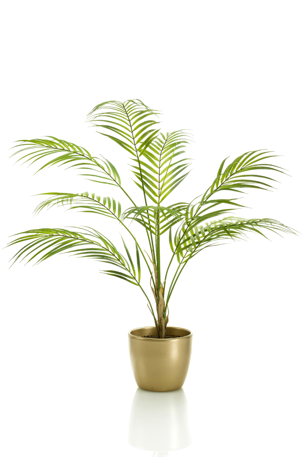 Kunstpalm Chamaedorea 85cm