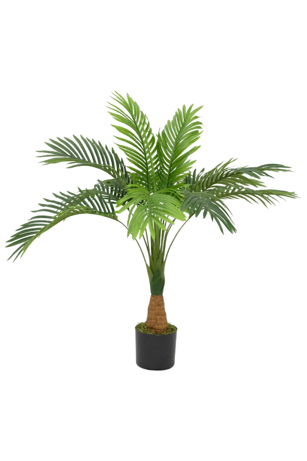 Kunstpalm Dikke stam 80cm