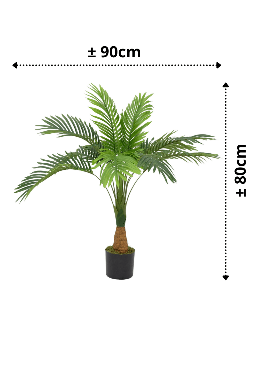 afmetingen Kunstpalm Dikke stam 80cm