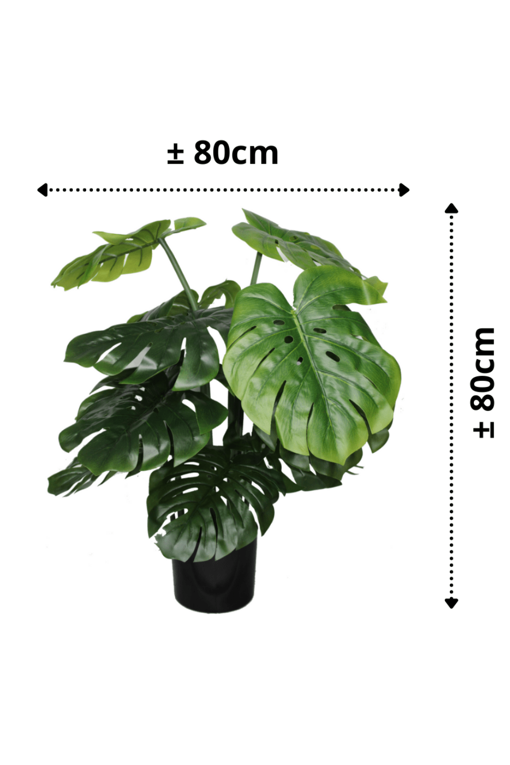 afmetingen Monstera Kunstplant B 80cm