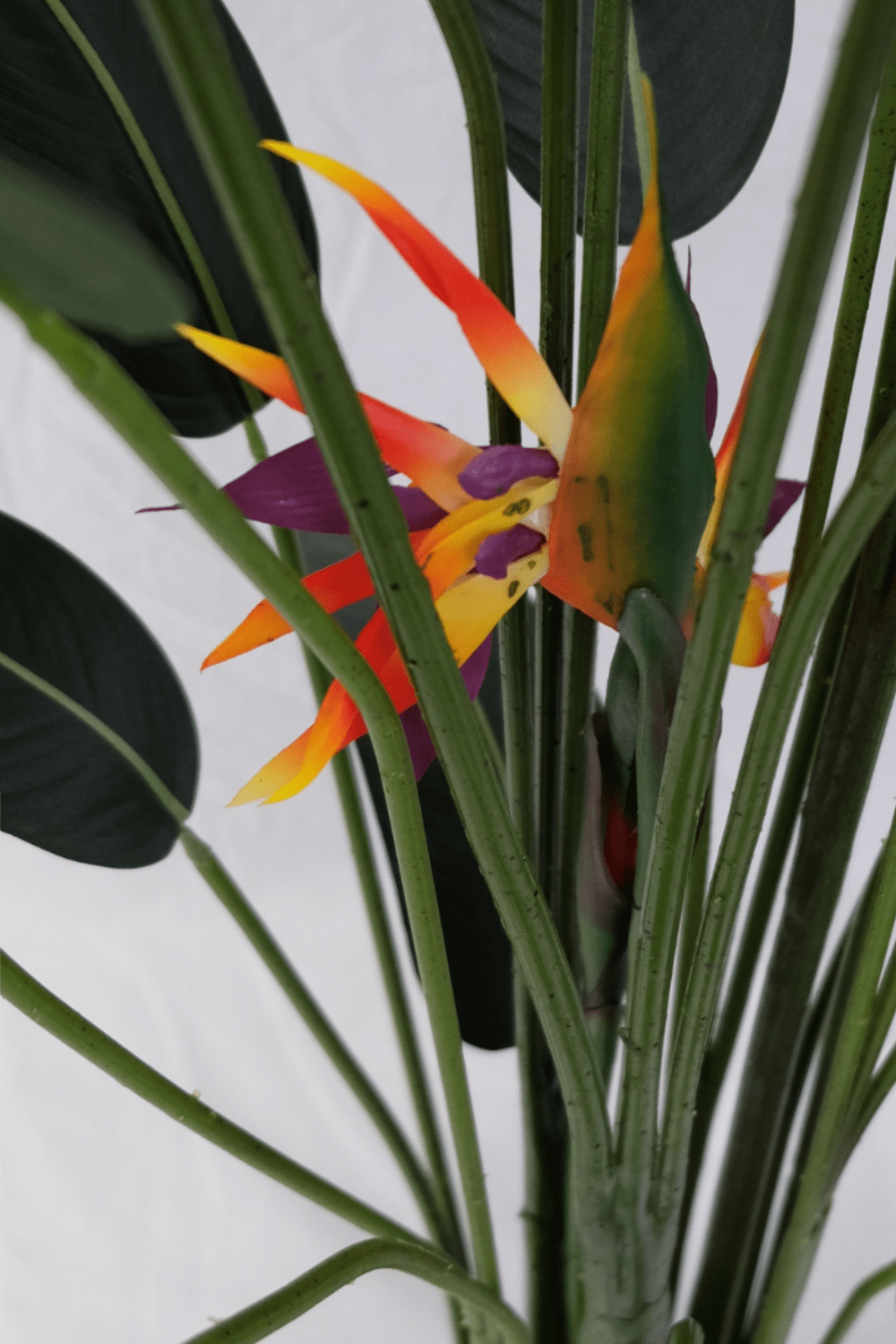 bloem en stengels Strelitzia Kunstplant Met Bloem 160cm