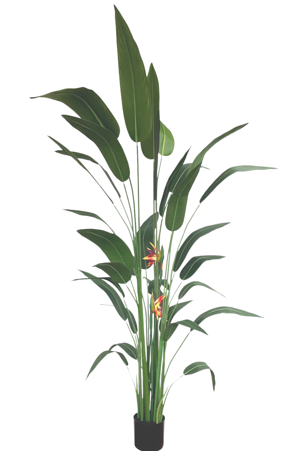 strelitzia kunstplant 210cm