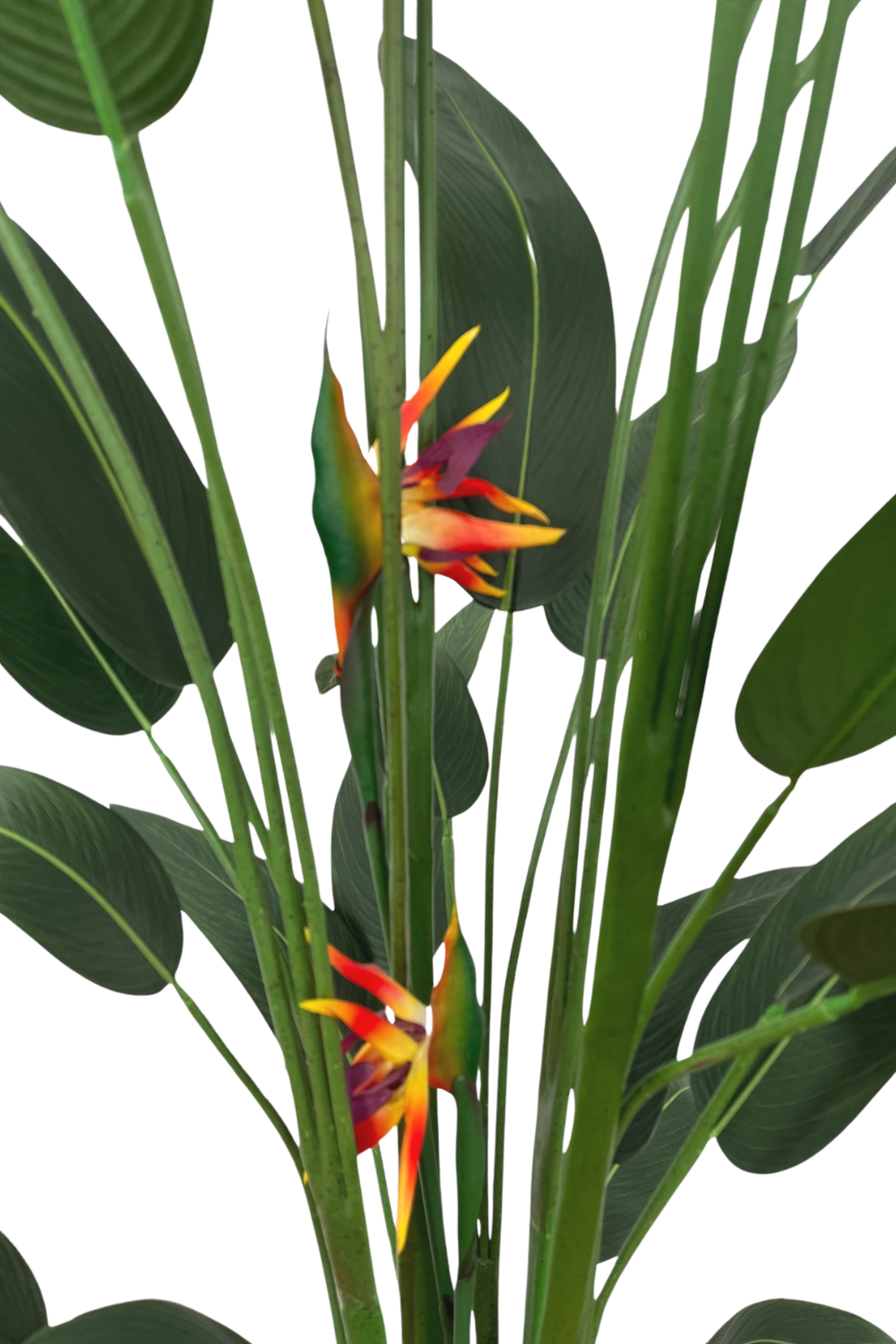 bladeren en bloemen Strelitzia Kunstplant Met Bloem 210cm