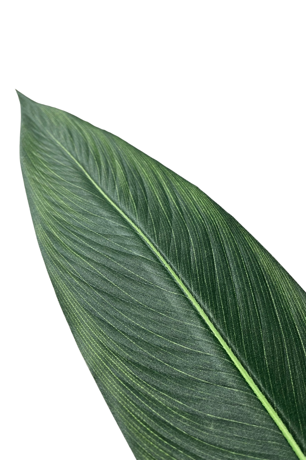 blad Strelitzia Kunstplant Met Bloem 210cm