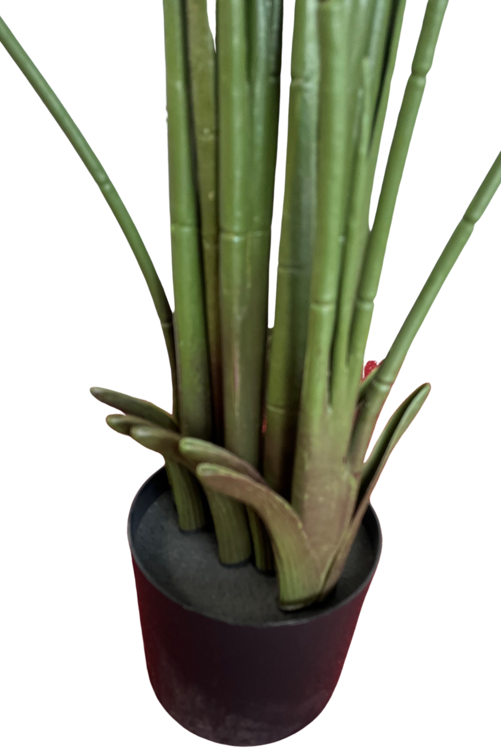 stam Strelitzia Kunstplant 240cm