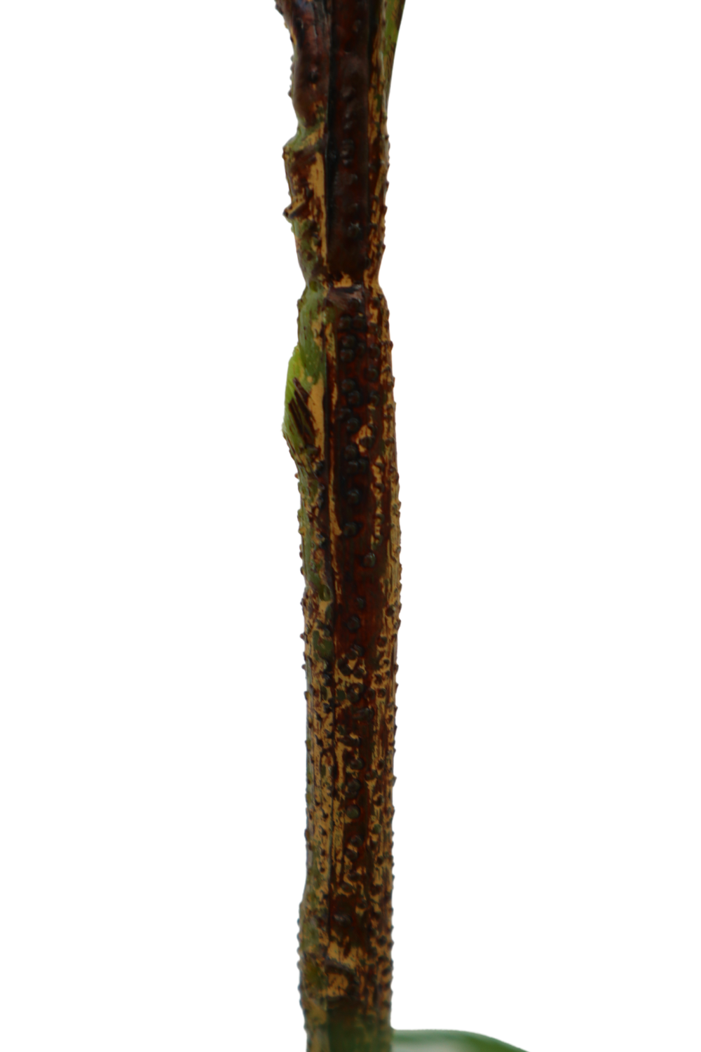Stam Aralia kunstplant 100cm
