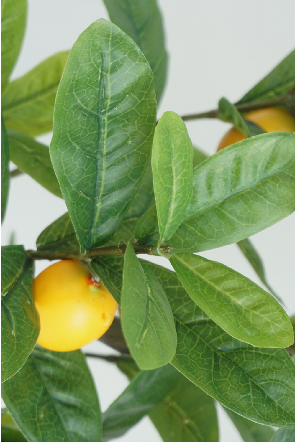 blad Kunst Citroenboom 75cm