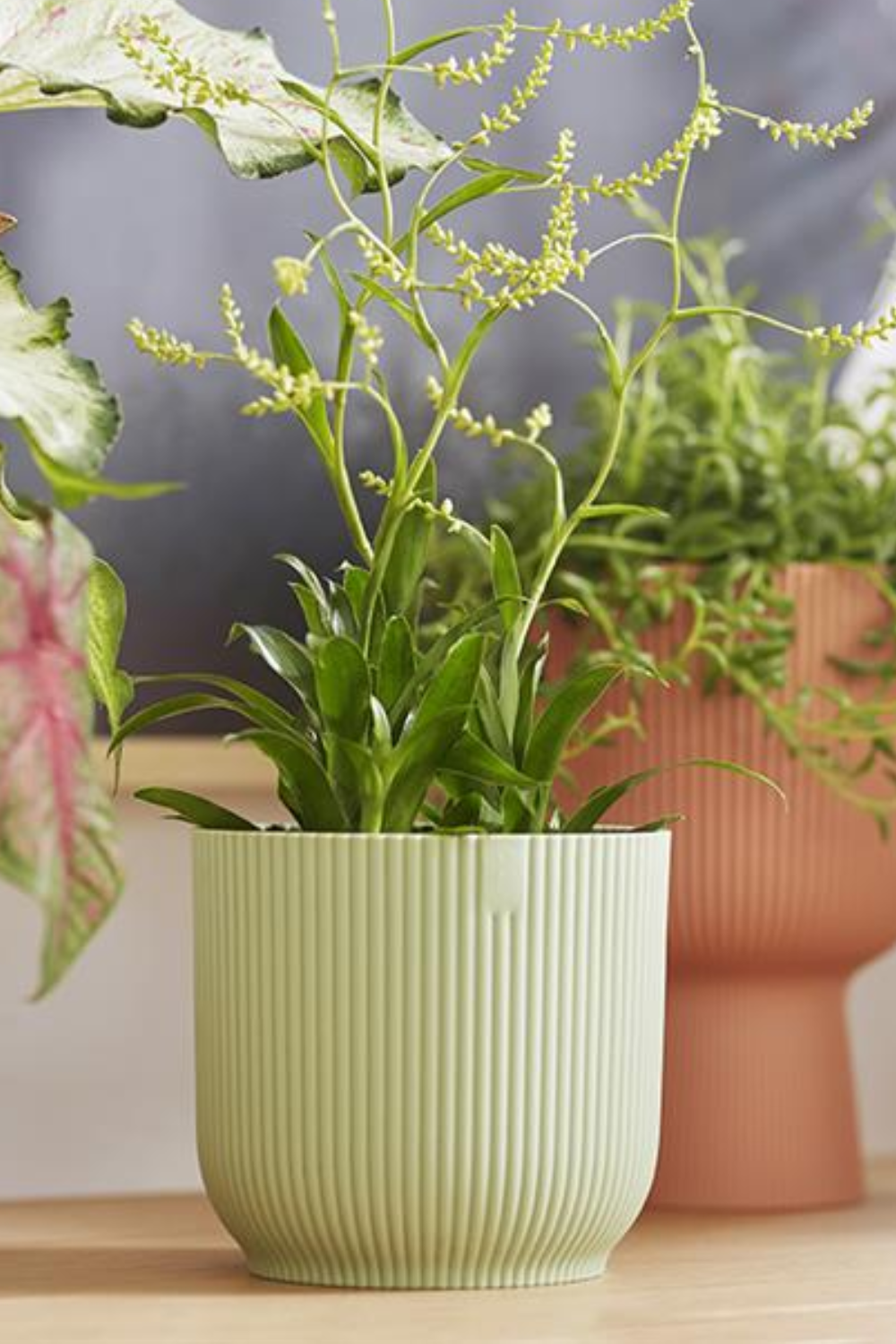 Bloempot Elho Vibes Fold rond 18 cm Sorbet Green