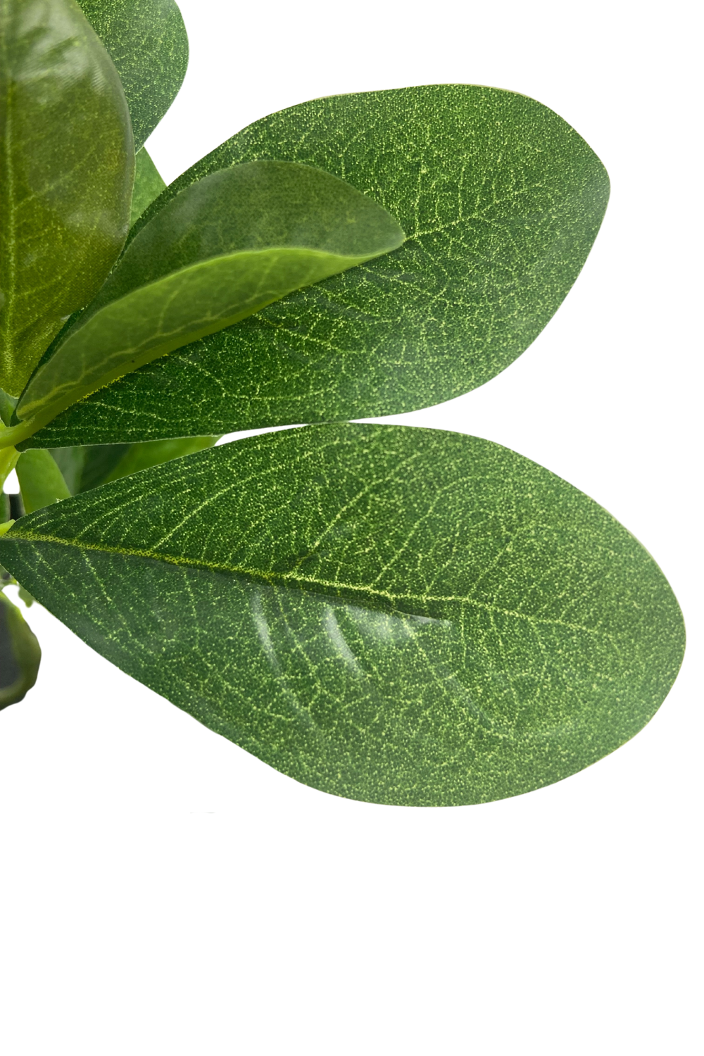 Schefflera Kunstplant 30cm