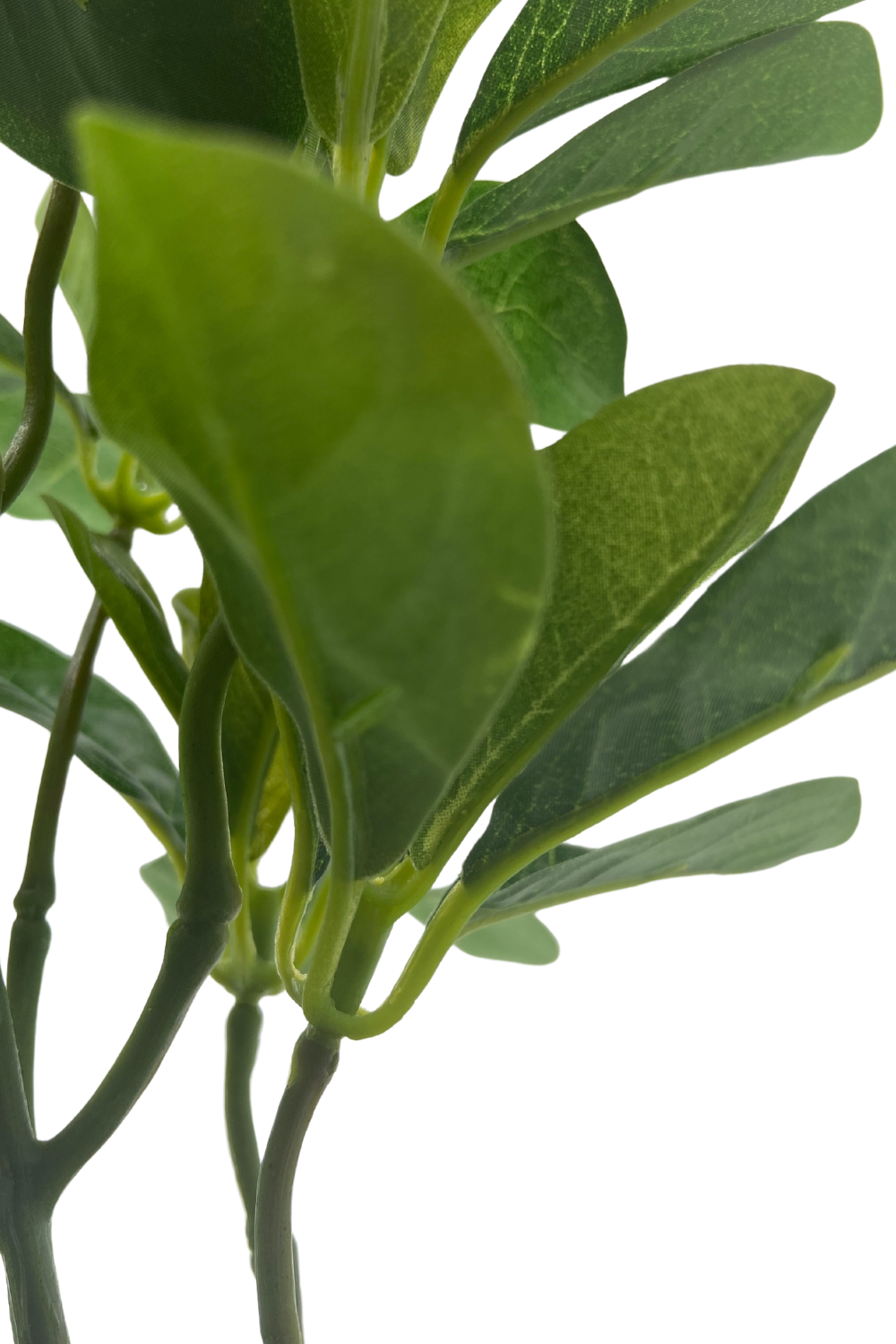 Schefflera Kunstplant 30cm