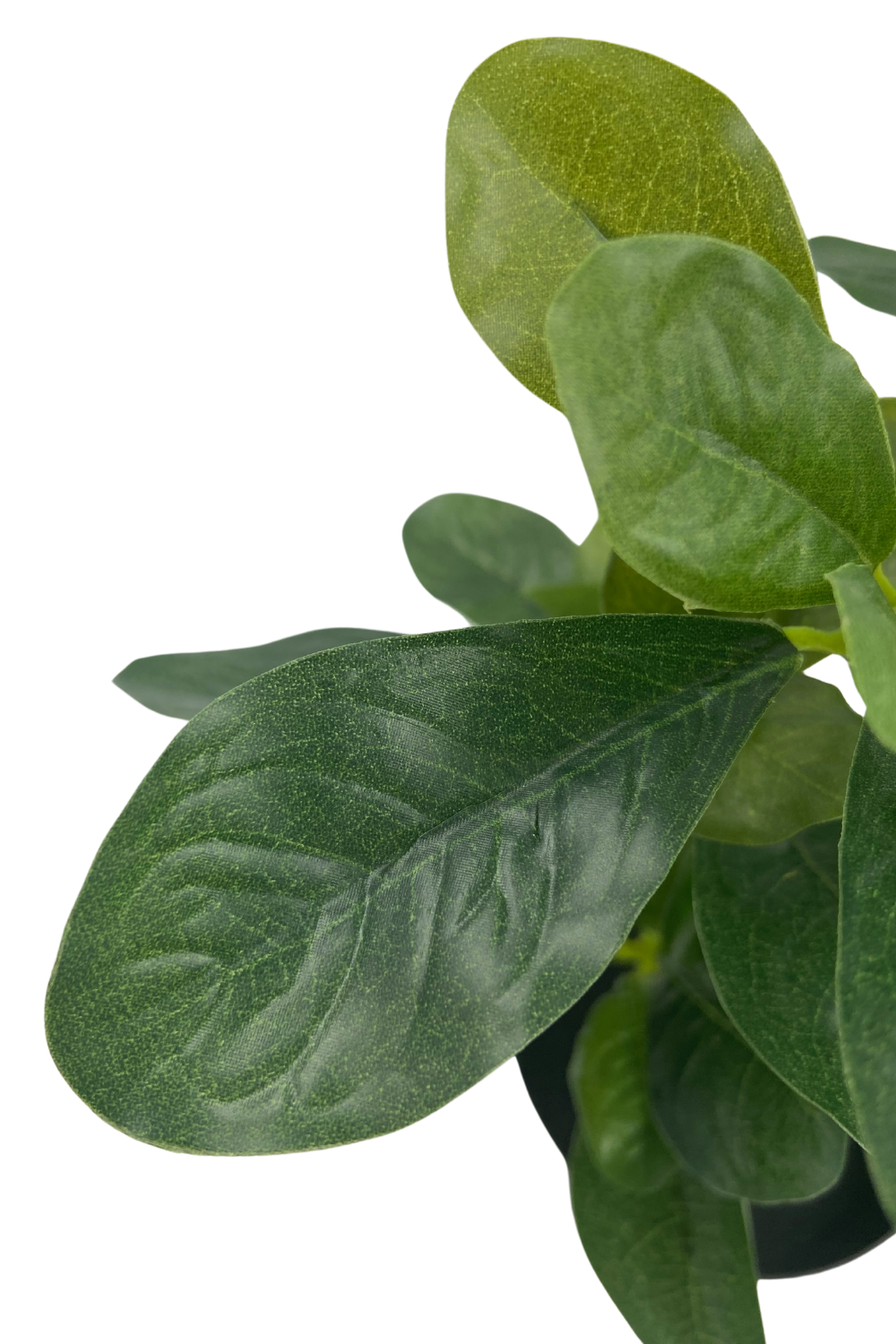 Schefflera Kunstplant 30cm