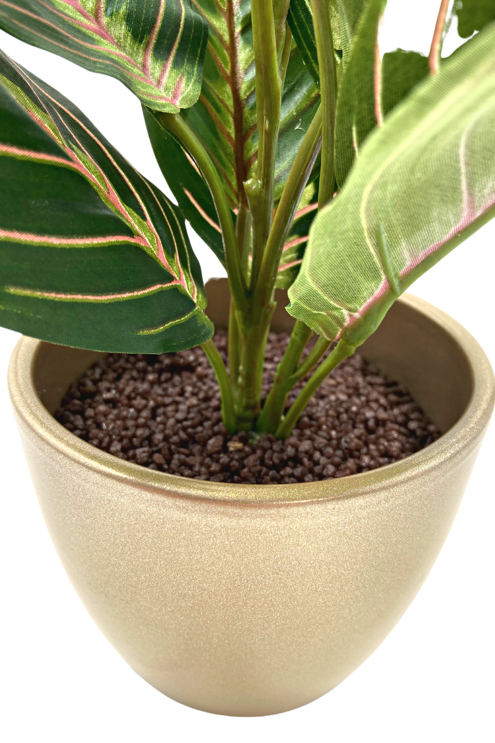 Kunst Maranta Bush 30cm