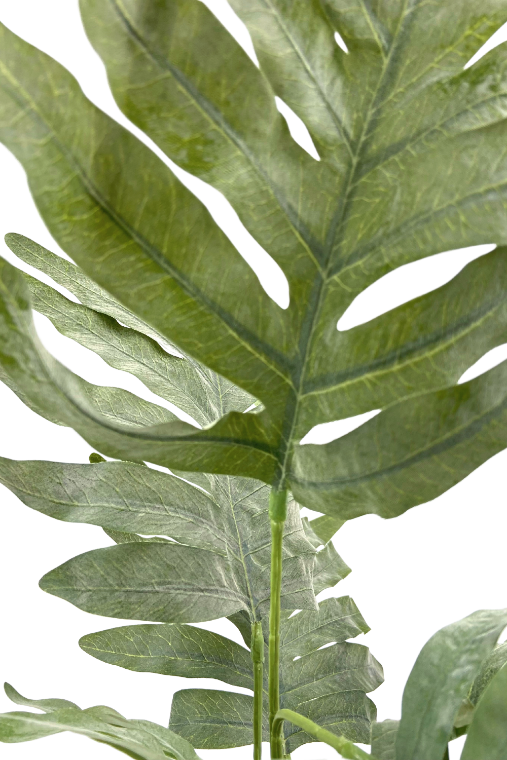 Phlebodium Kunstplant 65cm