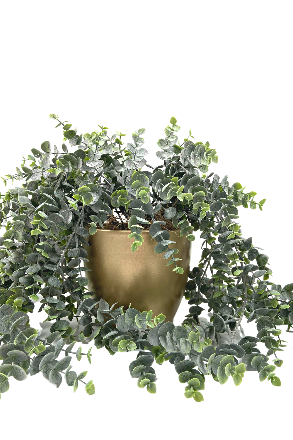 Eucalyptus Kunst Hangplant in gouden pot 75cm