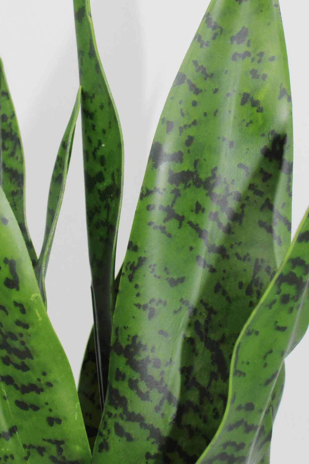 details agave kunstplant 50cm