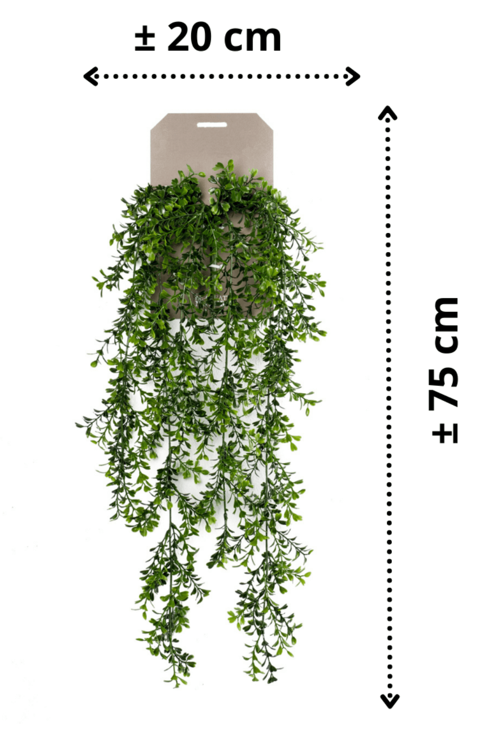 afmetingen Buxus Kunst Hangplant 75cm