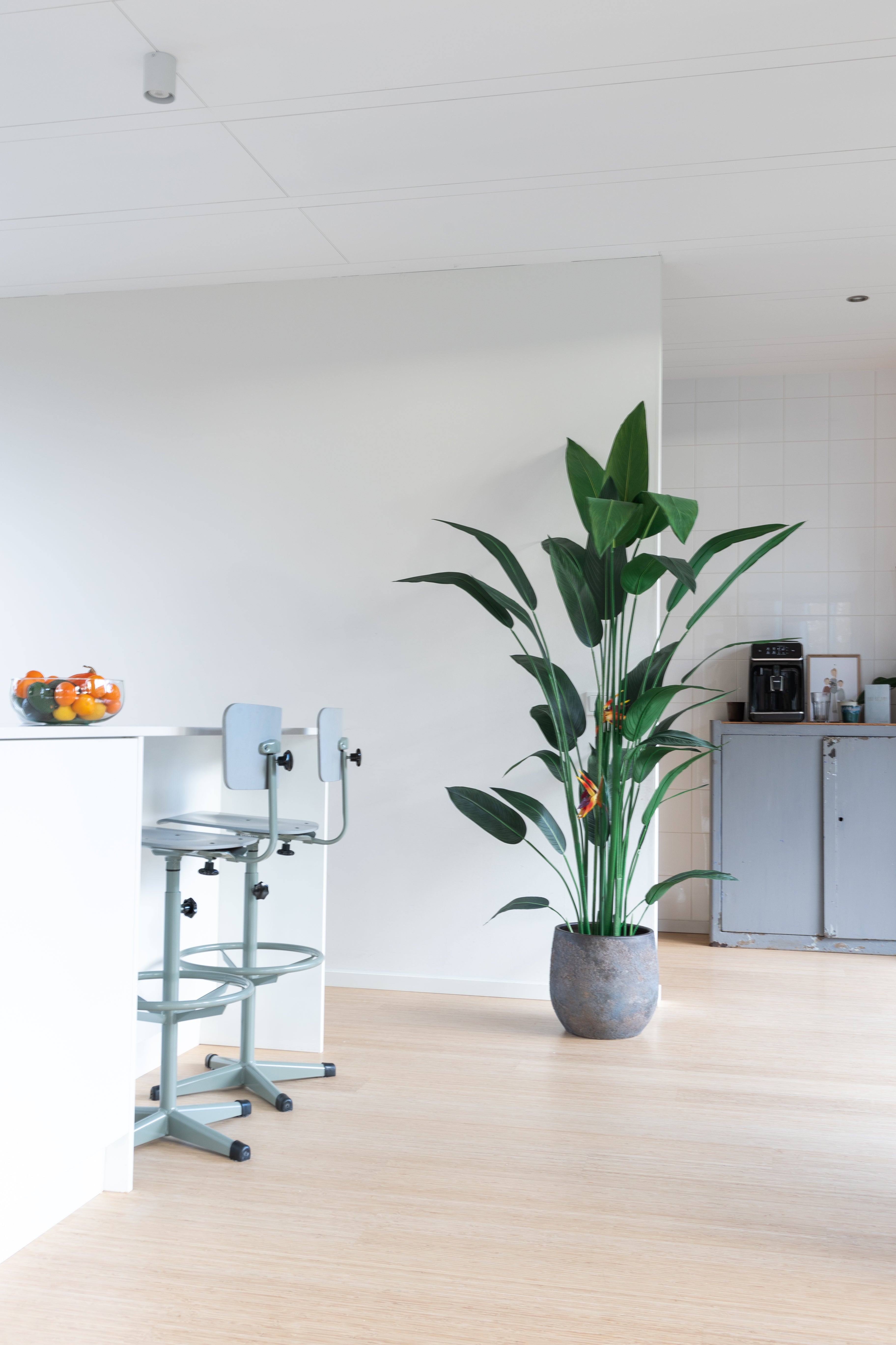 sfeerbeeld Strelitzia Kunstplant Met Bloem 210cm