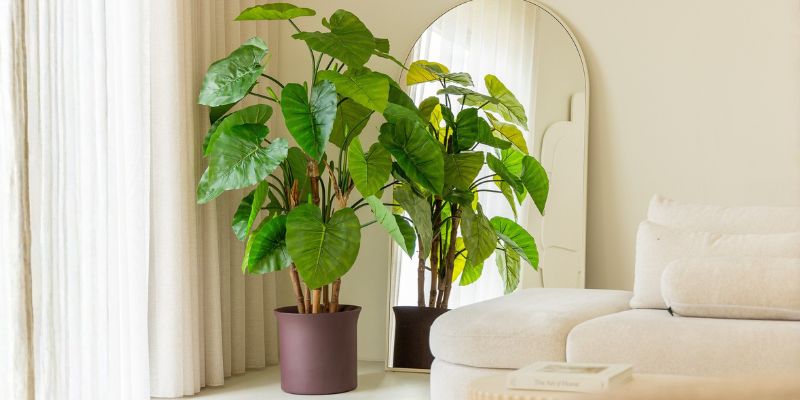 Herfst in huis: geef je interieur een warme touch met kunstplanten 🍂