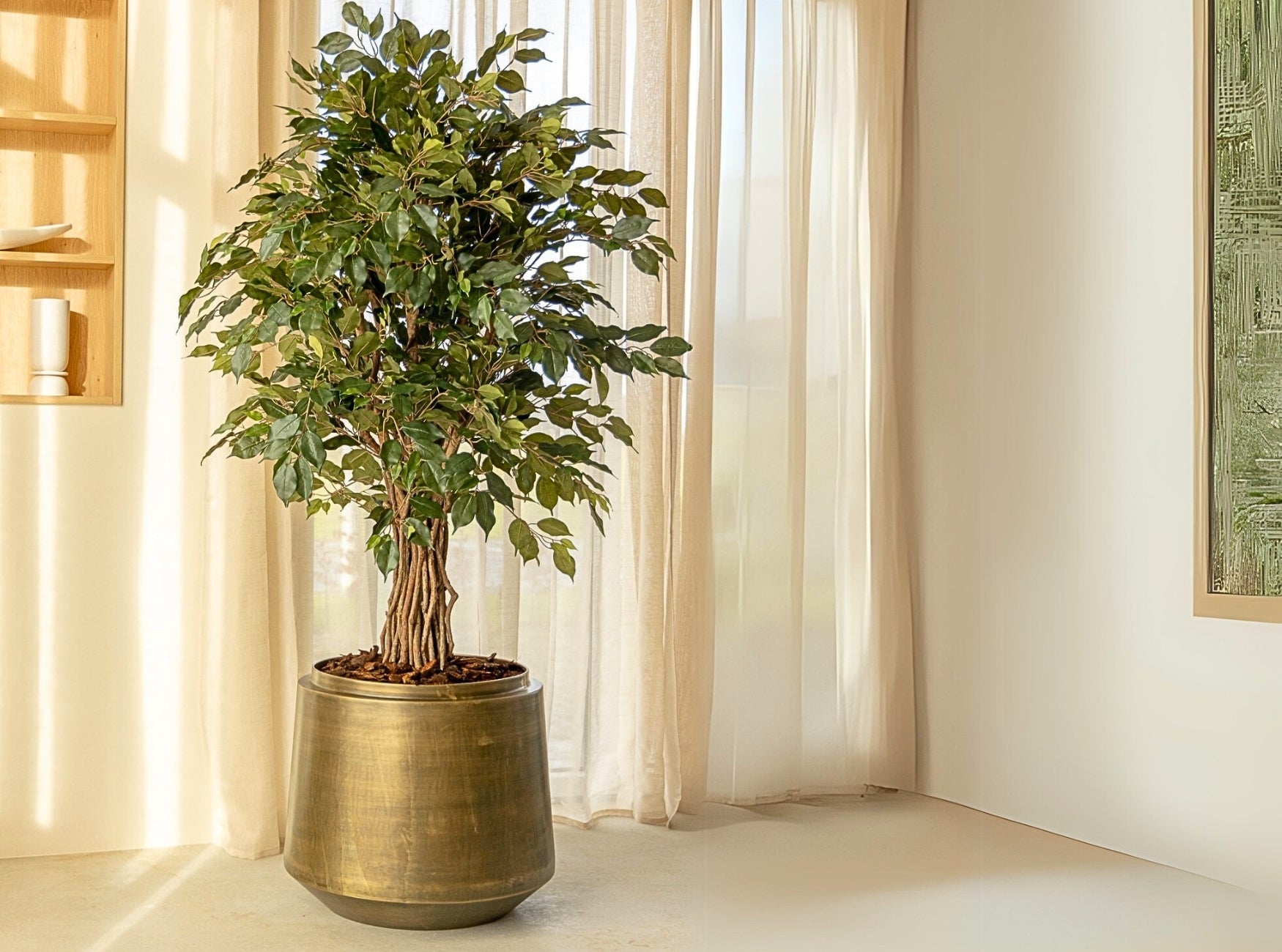 De kunstplant van het moment: De Ficus
