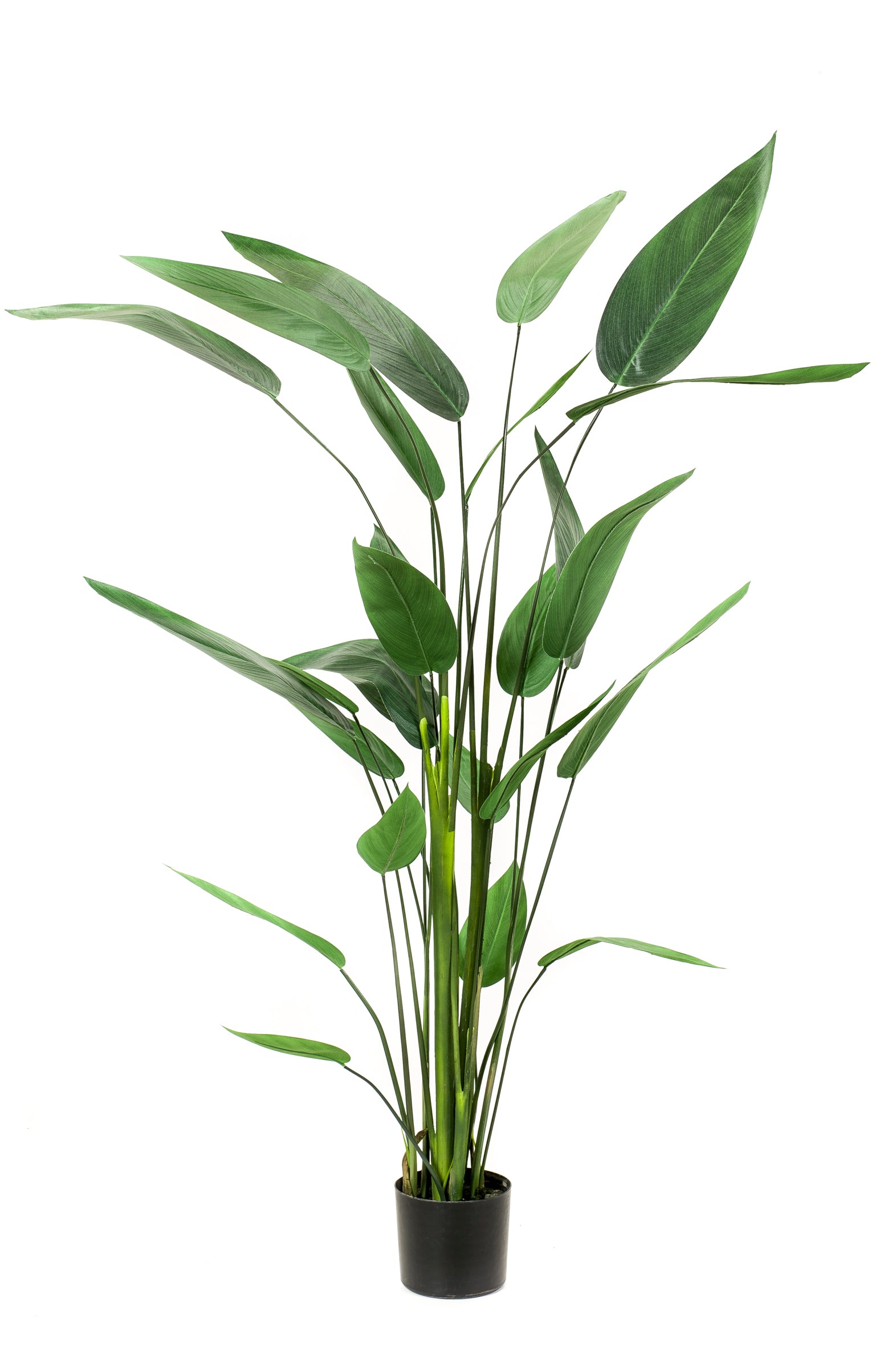 Groene Kunstplanten