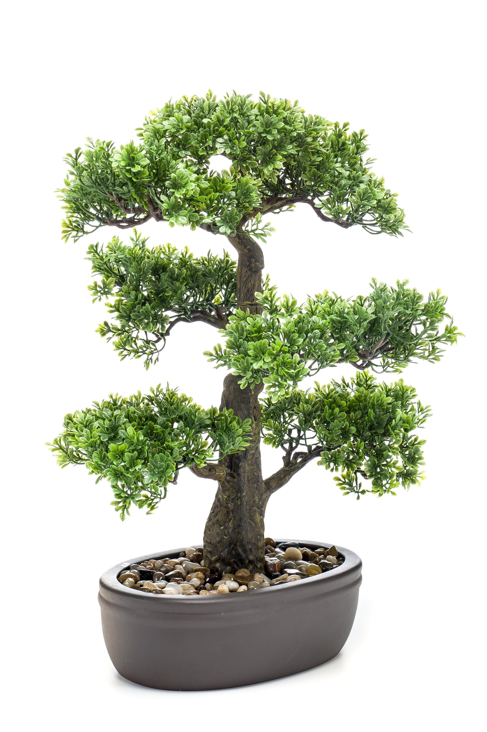kunst bonsai