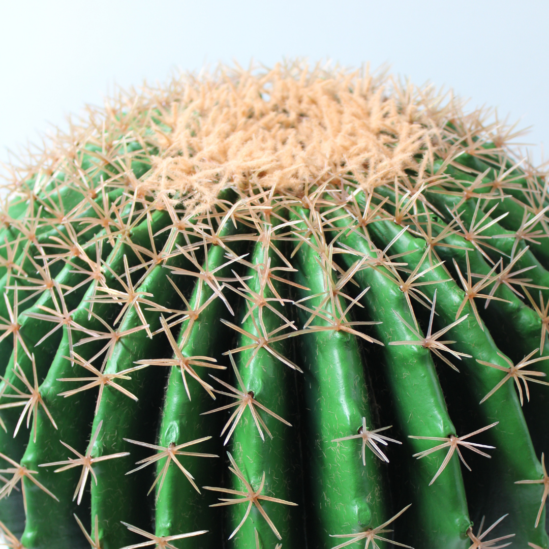 Met een kunst cactus maak je jouw huis in een handomdraai gezellig. Bekijk hier alle kunst cactussen bij elkaar.