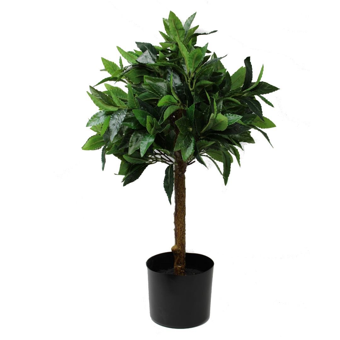 Kunst Laurierboom voor mooi en blijvend groen bij jou thuis. Bekijk hier al onze kunst Laurierbomen  