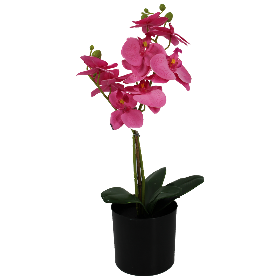 Deze kunstorchidee is niet van echt te onderscheiden. Bekijk orchideeën in verschillende kleuren en maten.