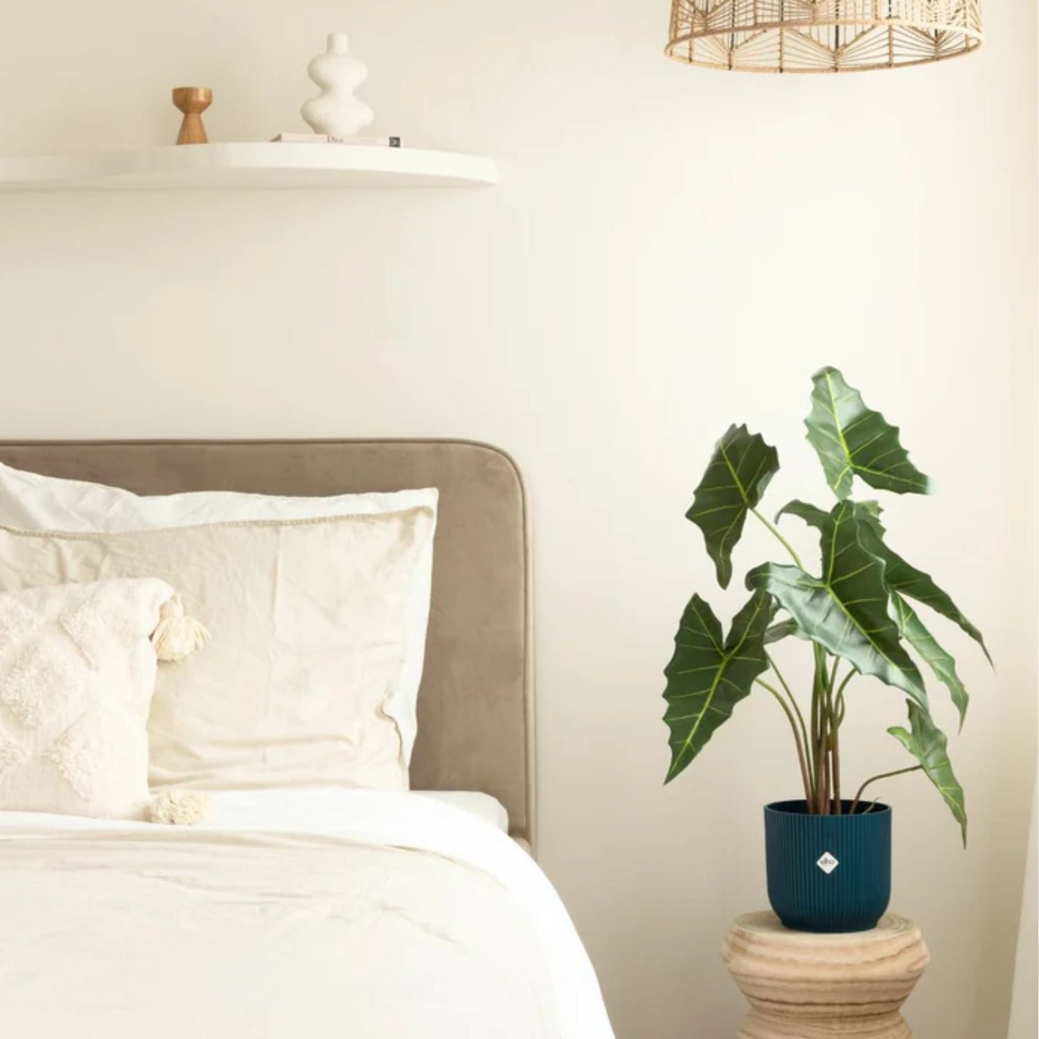collectie alocasia kunstplanten
