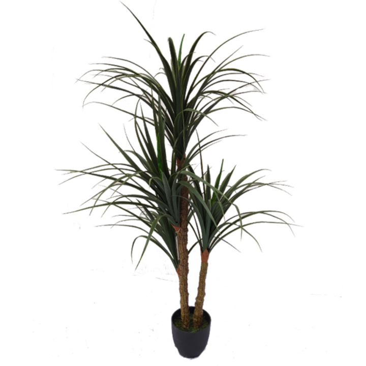 Een kunst Dracaena is de ideale oplossing als je deze planten in een schaduwrijke plek wilt zetten. Bekijk hier alle Kunst Dracaena kunstplanten
