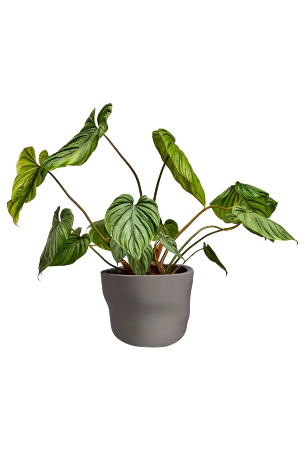 Bloempot Elho Mura 40cm Burnt Umber