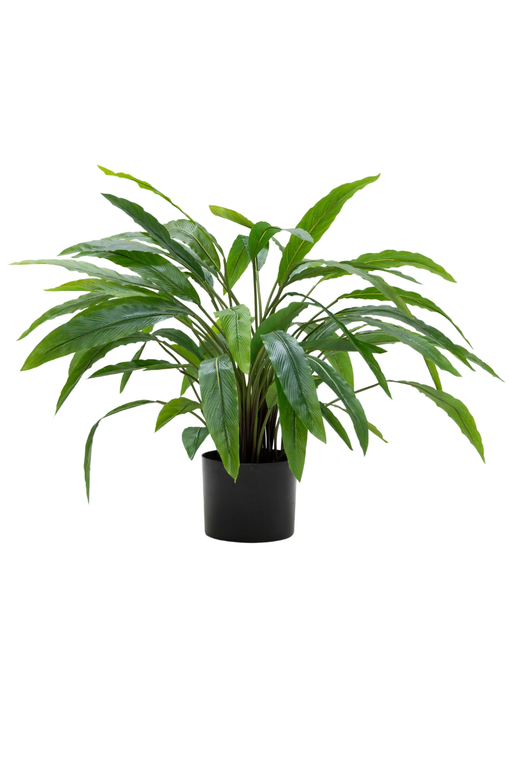 Calathea Kunstplant 60cm