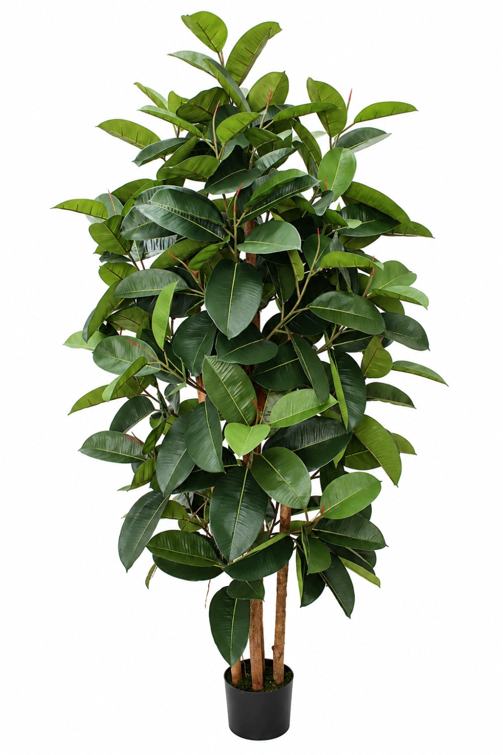 Ficus Kunstplant Elastica 180cm