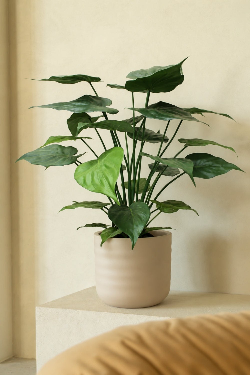 Alocasia Kunstplant 70cm
